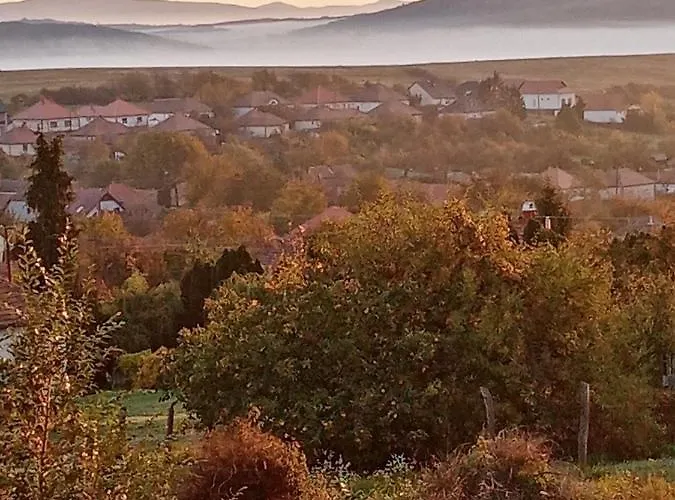 Kalaris Vendeghaz * Холлокё